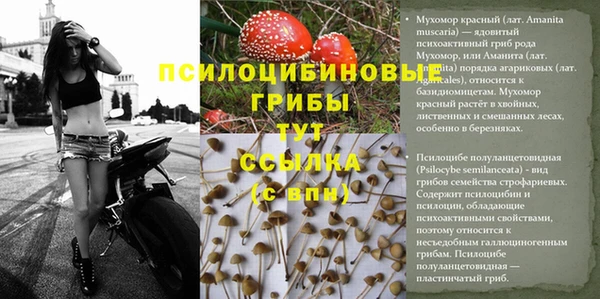бутират Алексин