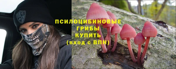 герыч Алзамай